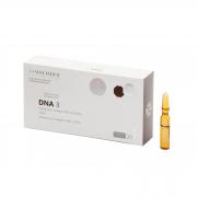 BASIC DNA 3